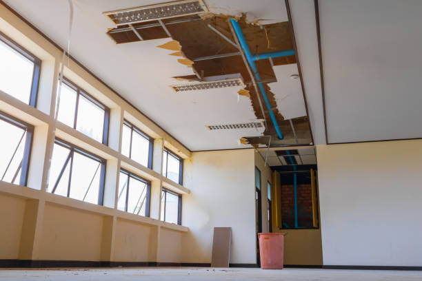 Best Professional water damage repair  in Litchfield Beach, SC